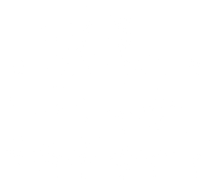 North Swole Funny Shirt