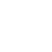 Caught You Looking - Roadkill T Shirts