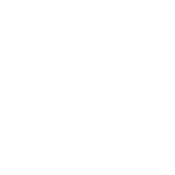 Great Dads Get Promoted To Grandpas - Roadkill T Shirts