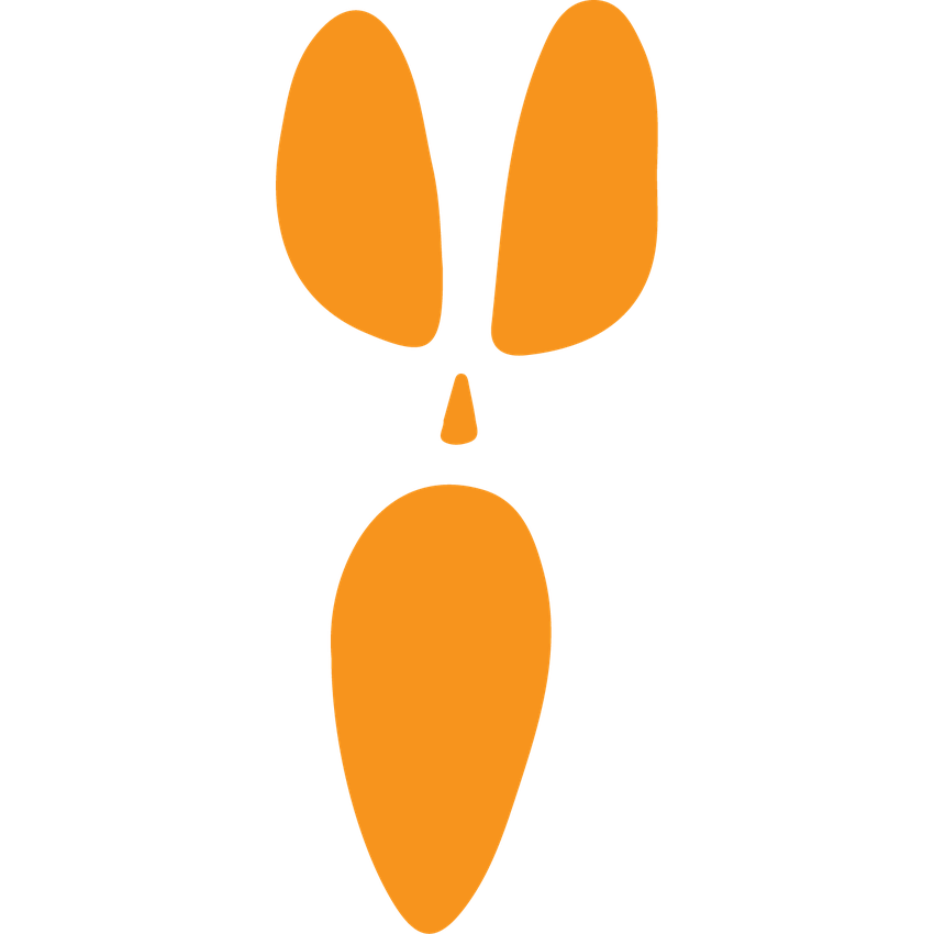 Funny T-Shirts design "Pumpkin O Face, Tee"