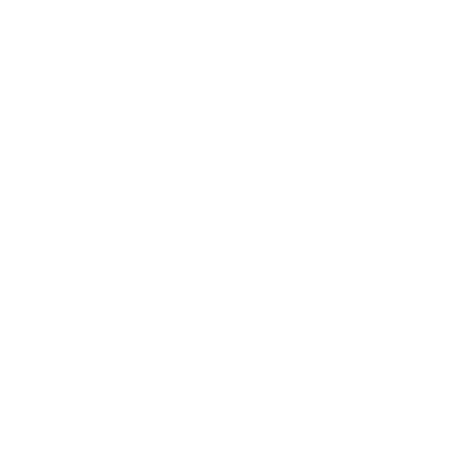 Funny T-Shirts design "Brooklyn Stickball Champions"