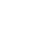 Wanted Meaningful Overnight Relationship - Roadkill T Shirts