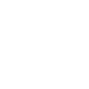 World's Okayest Golfer - Roadkill T Shirts