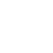 I'm Voting For Tacos - Roadkill T Shirts