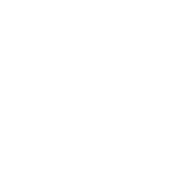 It's Not Drinking Alone If Your Dog Is With You - Roadkill T Shirts