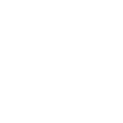 Kiss Me I'm Irish...Ish - Roadkill T Shirts