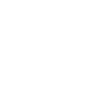 Dear Kids Sorry I Yelled In My Defense You Were Acting Like A Bunch Of Psychos - Roadkill T Shirts