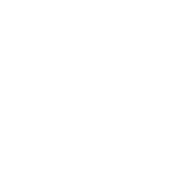 I Don't Understand Ignorance, And I Don't Want To - Roadkill T Shirts