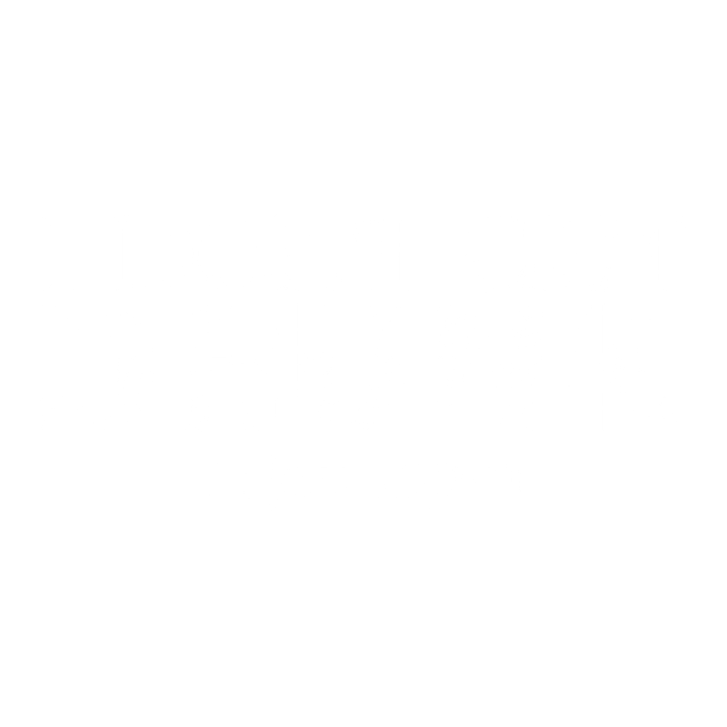 I Don't Get Drunk, I get Irish