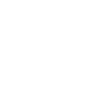 Easily Distracted By Dogs - Roadkill T Shirts