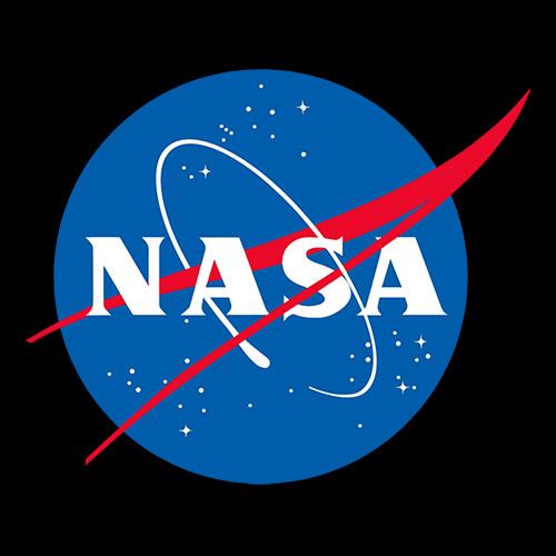 NASA Officail Meatball Logo - Roadkill T Shirts
