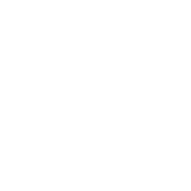 Best Dog Dad Ever - Roadkill T Shirts