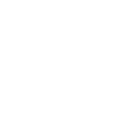 Always Do Your Okayest - Roadkill T Shirts