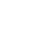 I'm Not Fat I'm Just Easy To See - Roadkill T Shirts