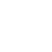 Senior Discount Please - Roadkill T Shirts