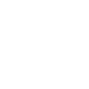 I Wonder If Beer Thinks About Me Too..? - Roadkill T Shirts