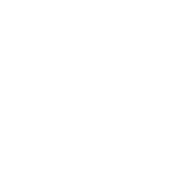 MMM... PI - Roadkill T Shirts