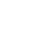 Smoke Weed Everyday - Roadkill T Shirts