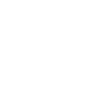 Leg Day - Roadkill T Shirts