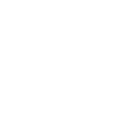 Workout Then Passout - Roadkill T Shirts