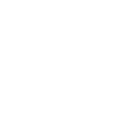 I Hate Both Teams, Football - Roadkill T Shirts