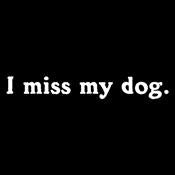 I Miss My Dog - Roadkill T Shirts