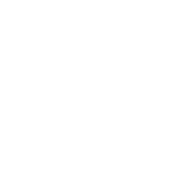 I Miss My Dog - Roadkill T Shirts