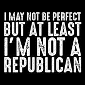 I May Not be Perfect But At Least I'm a Republican - Roadkill T Shirts