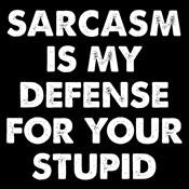 Sarcasm Is My Defense For Your Stupid - Roadkill T Shirts