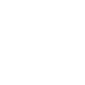 Mom's To Do List Everything - Roadkill T Shirts