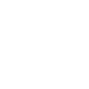 The Book Was Better - Roadkill T Shirts