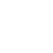 Dear Santa, Dogs. I want Lots And Lots Of Dogs - Roadkill T Shirts