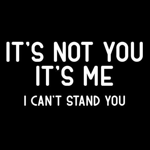 It's Not You It's Me I Can't Stand You T-Shirt