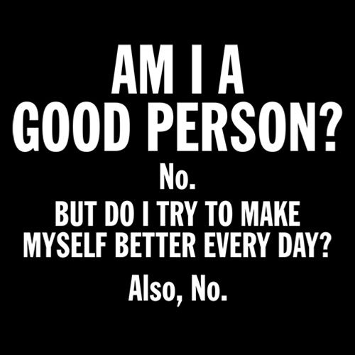 Am I A Good Person? No. But Do I Try To Make Myself Better Every Day? Also, No. - Roadkill T Shirts