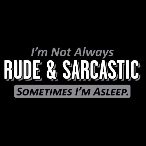 I'm Not Always Rude & Sarcastic Sometimes I'm Asleep. - Roadkill T Shirts