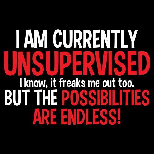 I Am Currently Unsupervised I know T-Shirt - Roadkill T Shirts