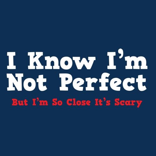 I Know I'm Not Perfect But I'm So Close It's Scary - Roadkill T Shirts