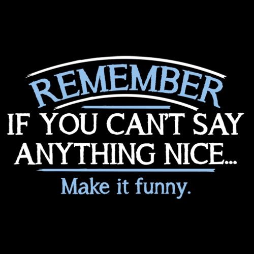 Remember, If You Can't Say Anything Nice Make It Funny - Roadkill T Shirts