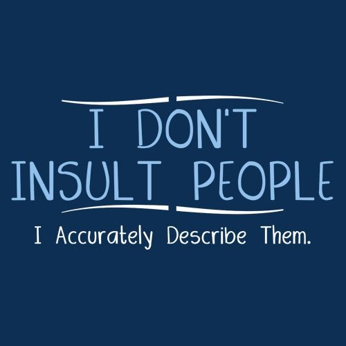 I Don't Insult People. I Accurately Describe Them - Roadkill T Shirts
