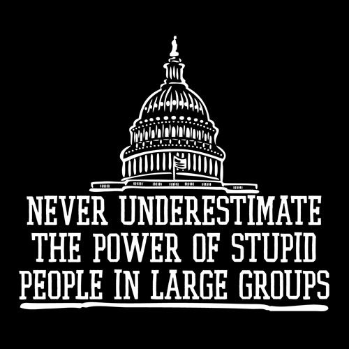 Never Underestimate The Power Of Stupid People T-Shirt