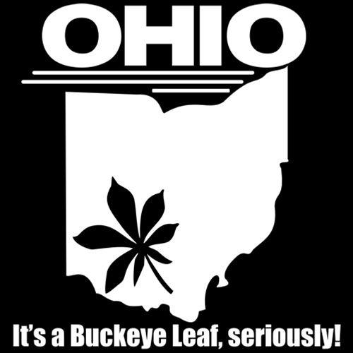 Ohio It's A Buckeye Leaf Seriously - Roadkill T Shirts