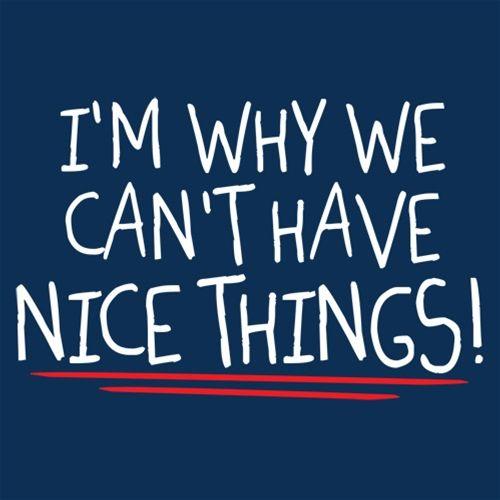 I'm Why We Can't Have Nice Things T-Shirt