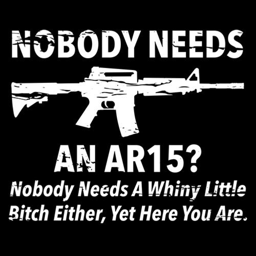 NoBody Needs An AR15? Nobody Needs A Whiny Little Bitch Either, Yet Here You Are - Roadkill T Shirts