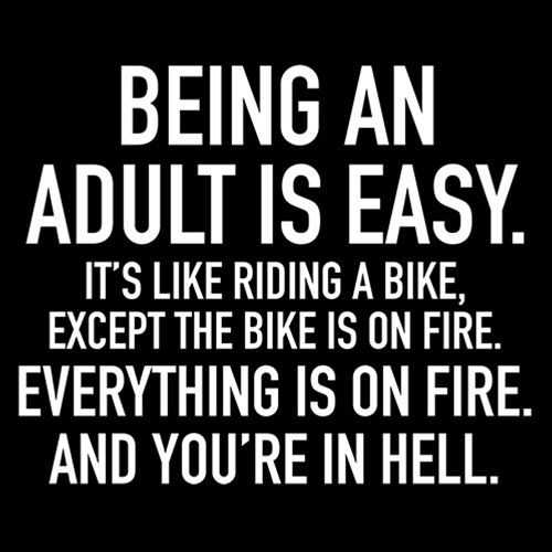 Adult Is Easy Like Riding Bike Except The Bike On Fire Everything On Fire In Hell - Roadkill T Shirts