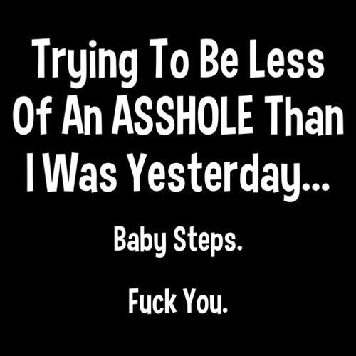 Trying To Be Less Of An A**hole Than I Was Yesterday... Baby Steps. F*ck You. - Roadkill T Shirts