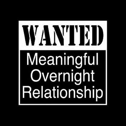 Wanted Meaningful Overnight Relationship - Roadkill T Shirts