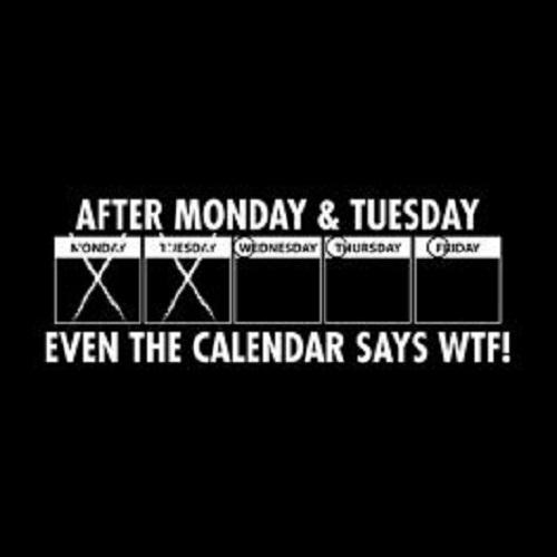 After Monday & Tuesday Even The Calender Says WTF - Roadkill T Shirts
