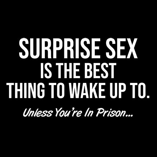 Surprise Sex Is The Best Thing To Wake Up To. Unless You're In Prison - Roadkill T Shirts