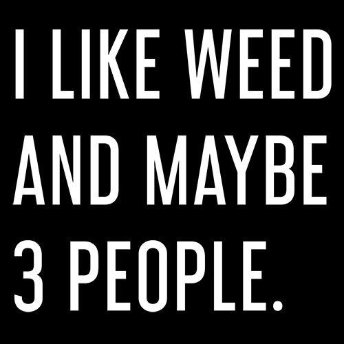 I Like Weed And Maybe 3 People - Roadkill T Shirts